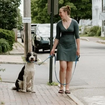 Fida 6 FT Heavy Duty Dog Leash with 2 Comfortable Padded Handles, Traffic Handle & Advanced Easy Snap Hook, Reflective Walking Lead for Large, Medium & Small Breed Dogs, Blue