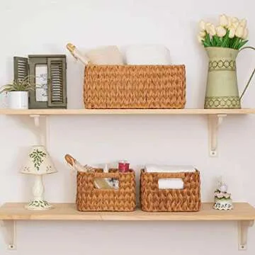 StorageWorks Hand-Woven Storage Baskets, Imitation Wicker Baskets for Shelves, Walnut, Set of 3 (1PC Large, 2PCS Medium)