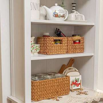 StorageWorks Hand-Woven Storage Baskets, Imitation Wicker Baskets for Shelves, Walnut, Set of 3 (1PC Large, 2PCS Medium)