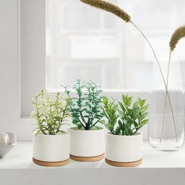 Stylish ZOUTOG Succulent Pot Set with Bamboo Trays 6-Pack