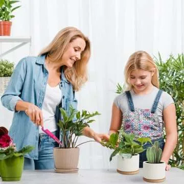 Stylish ZOUTOG Succulent Pot Set with Bamboo Trays 6-Pack