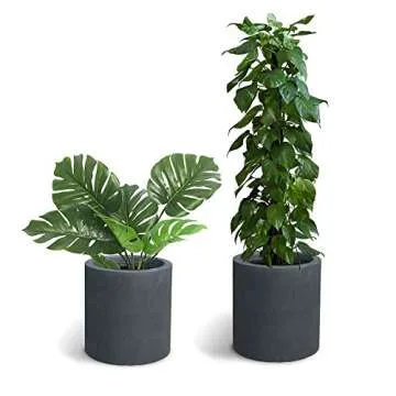 Kante Modern Style Concrete Planter with Drainage