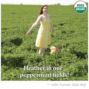 Heather's Tummy Tamers Peppermint Oil Capsules (90 per bottle) for IBS