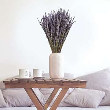 June Fox Dried Lavender Flowers 270-300 Stems 100% Natural Dried Lavender Bunches for Home Decoration, Home Fragrance, Handmade Soap Flower