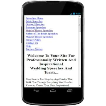 Maid Of Honor Speech Help