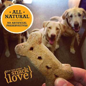 Old Mother Hubbard Crunchy Natural Dog Treats in Bac'N'Cheez Flavor