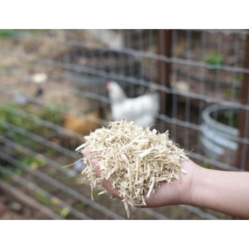 Eco-Friendly Hemp Animal Bedding in Bulk for All Pets