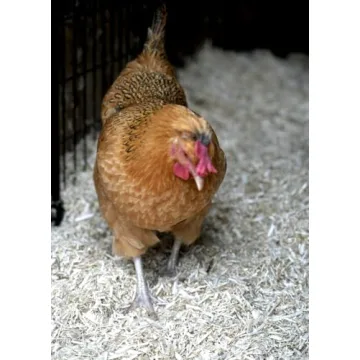 Eco-Friendly Hemp Animal Bedding in Bulk for All Pets