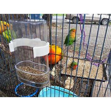 Hypeety Bird Feeder - Automatic 200ml Cup for Small Birds