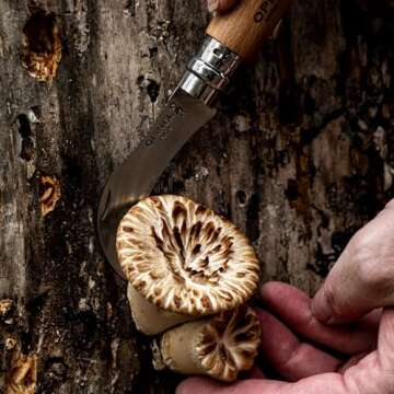 OPINEL No.8 Mushroom Knife Gift Box for Foragers