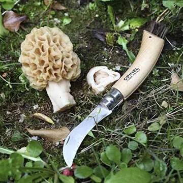 OPINEL No.8 Mushroom Knife Gift Box for Foragers