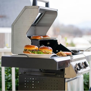 Monument Grills 14633 2-Burner Liquid Propane Grill