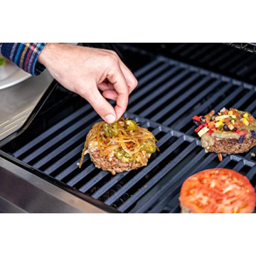 Monument Grills 14633 2-Burner Liquid Propane Grill