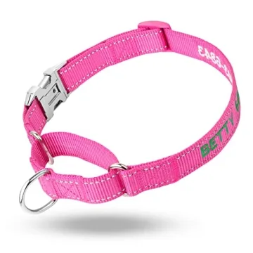 Personalized Martingale Dog Collar with Reflective Design
