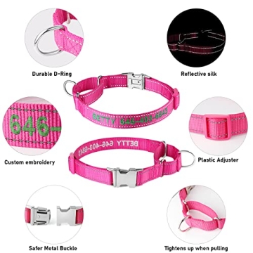 Personalized Martingale Dog Collar with Reflective Design