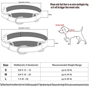 Personalized Martingale Dog Collar with Reflective Design