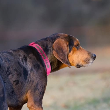 Personalized Martingale Dog Collar with Reflective Design