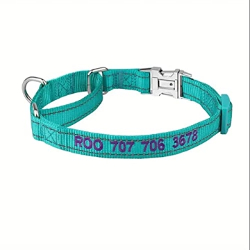 Personalized Martingale Dog Collar with Reflective Design