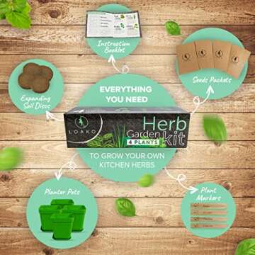 Indoor Herb Garden Starter Kit - DIY Kits for Adults - 4 Herb Seeds Growing Kit - Crafts for Adults ...
