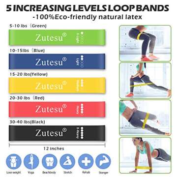 Resistance Bands Set Workout Bands - 3 Pull Up Assistance Bands, 5 Exercise Resistance Loop Bands, 2 Core Sliders, Jump Rope, Handles, Door Anchor,Ankle Straps for Body Stretching/ Power Training