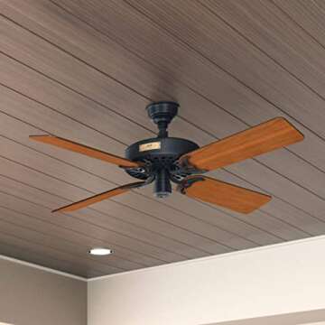 Hunter Fan Company 23838 Hunter Original Indoor, Outdoor Ceiling Fan with Pull Chain Control, 52", Black