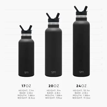 Simple Modern Insulated Water Bottle with Straw Lid