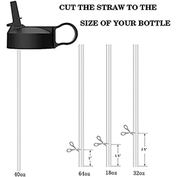 The Mass Wide Mouth Straw Lid Compatibility Most Sports Water Bottle (Black)