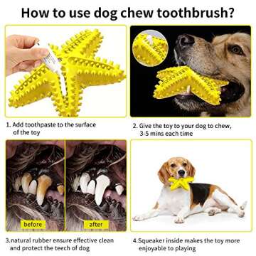 Almost Indestructible Dog Toys for Aggressive Chewers