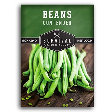 Contender Bush Bean Seeds for Delicious Home Gardening