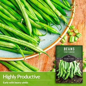 Contender Bush Bean Seeds for Delicious Home Gardening
