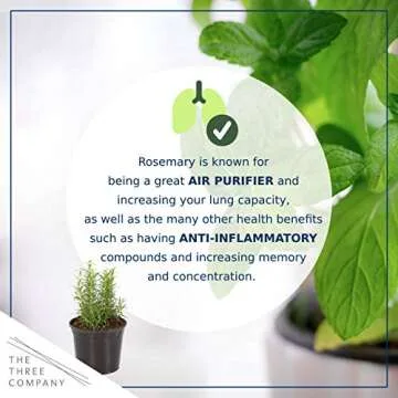 Live Aromatic and Edible Herb Assortment (Rosemary, Lavender, Eucalyptus, Mint, Lemon Balm, Other Assorted Herbs), 6 Plants Per Pack