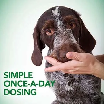 Vet's Best Probiotic Soft Chews for Digestive Health