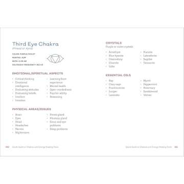 The Little Book of Energy Healing Techniques: Simple Practices to Heal Body, Mind, and Spirit