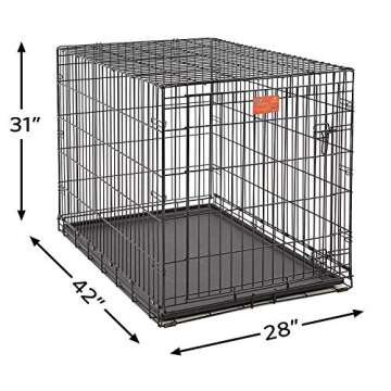 MidWest Large Dog Crate - Safe & Portable Dog Housing