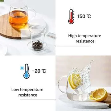 Elegant Glass Tea Cup with Infuser and Lid - 17.6 oz
