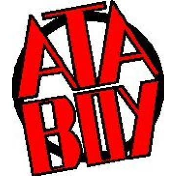 Ata-Boy Slytherin Crest Patch for Harry Potter Fans