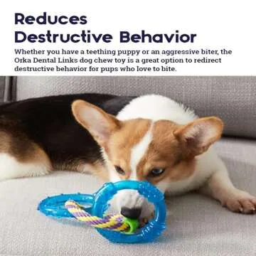 Durable Petstages Orka Dental Links Dog Chew Toy Online