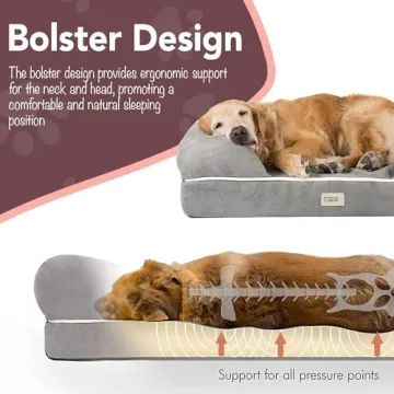 Friends Forever Large Orthopedic Dog Bed - Comfortable & Stylish