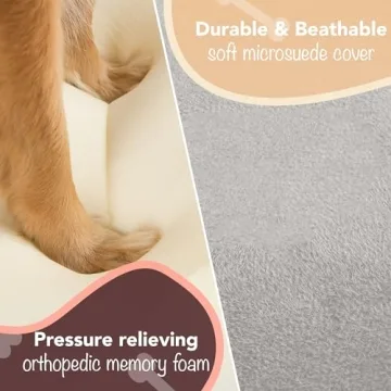 Friends Forever Large Orthopedic Dog Bed - Comfortable & Stylish