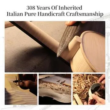 PHOENIX 4/4 Violin Set for Beginner & Professional Players