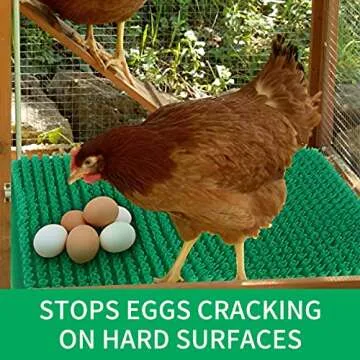 PTGVCTA Chicken Coop Mat, 6 Pcs, Green, Waterproof, Scratch Proof, Easy Cleaning, Compatible with All Chicken Coops & Houses, Fits Nesting Boxes in Small & Large Coops, Animal Cage for Chickens