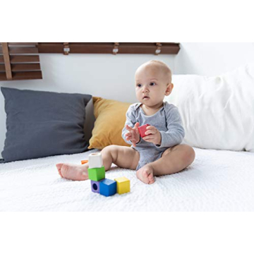 PlanToys 9 Piece Sensory Activity Blocks - Eco-Friendly Fun