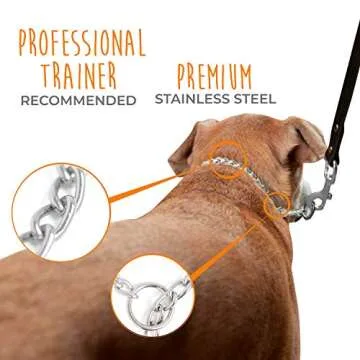 Mighty Paw Slip Collar - Stainless Steel - Weather Resistant - Tarnish Proof - Durable Chain Dog Choke Collars - No Pull Dogs Training - Strong and Premium - Metal Chain (24")