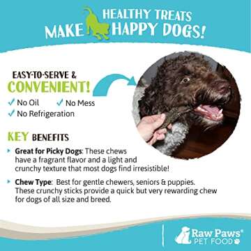 Raw Paws Green Beef Tripe Sticks for Dogs - 6-inch, 5-Pack - Packed in USA - Dried Tripe Dog Treats from Free-Range, Cows No Added Antibiotics or Hormones - Dehydrated Beef Green Tripe for Dogs