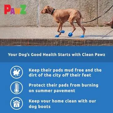 PawZ Rubber Dog Boots for Year-Round Paw Protection
