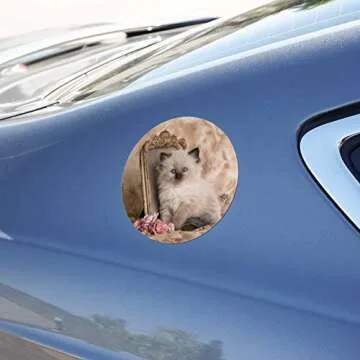 Ragdoll Tiffany Cat Magnet for Cars and Home Decor