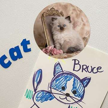 Ragdoll Tiffany Cat Magnet for Cars and Home Decor