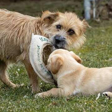Honest Pet Products Eco-Fly-N-Tug Dog Frisbee - Handmade in USA with Natural Hemp Canvas & Wool - Eco-Friendly Frisbee Dog Toy & Tug of War Toy - Safe Ink, Small 6" x 6" x 0.25"