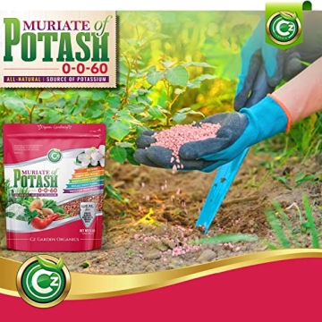 Muriate of Potash Fertilizer for Flowers and Vegetables