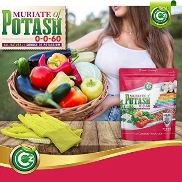 Muriate of Potash Fertilizer for Flowers and Vegetables